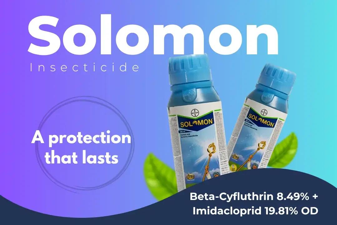 Solomon Insecticide Technical Name Solomon Insecticide Technical Name