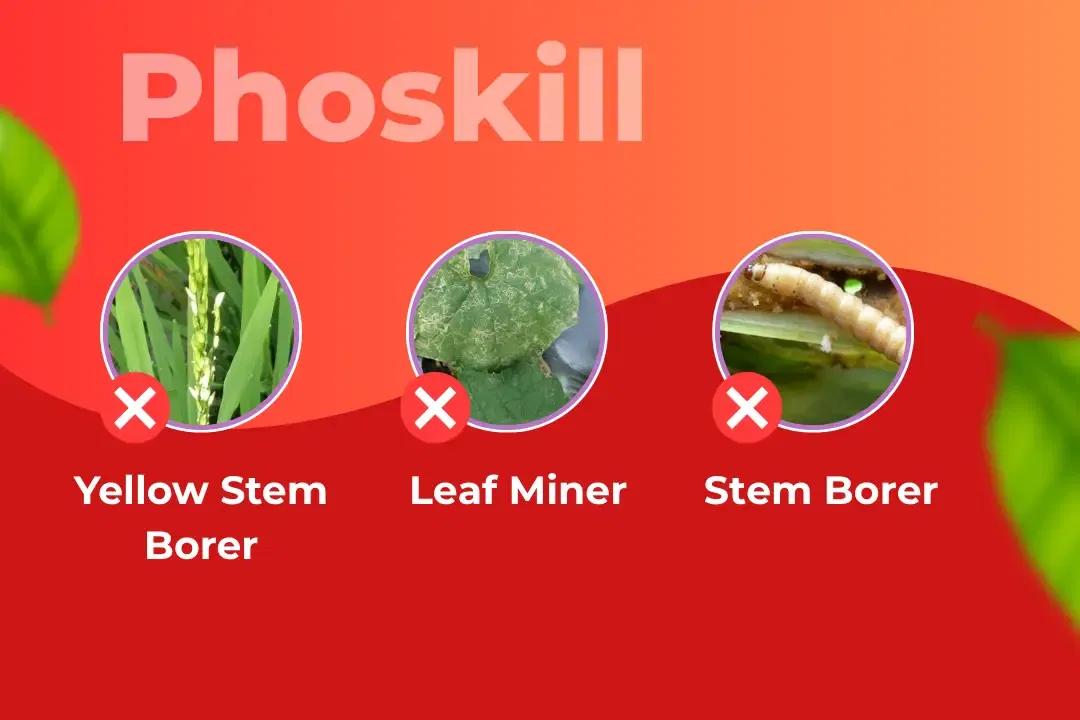 Phoskill Insecticide Target Pest Phoskill Insecticide Target Pest